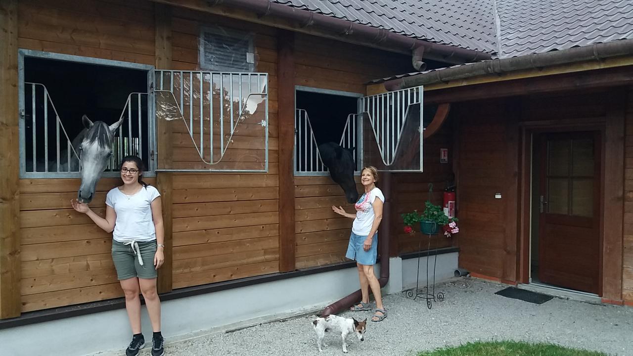 Les Gites Haras Del Paradiso Boitron Zewnętrze zdjęcie