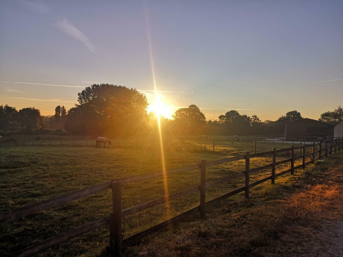 Les Gites Haras Del Paradiso Boitron Zewnętrze zdjęcie